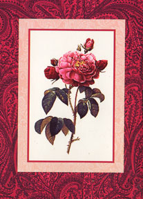 card front